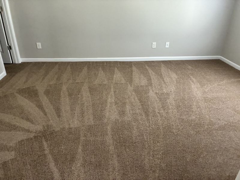 Freshly vacuumed carpet in an empty room