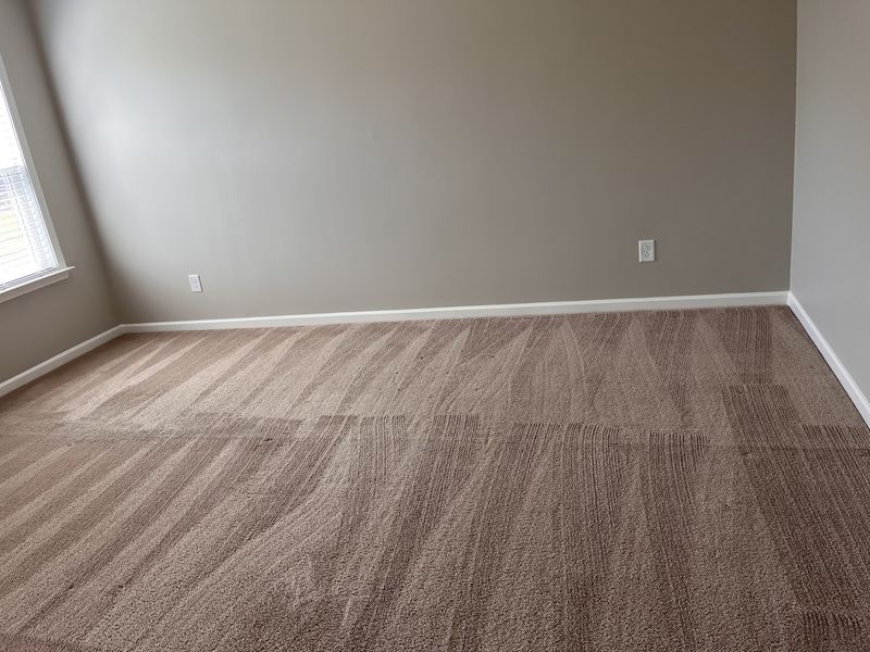 Living room carpet with fresh vacuum lines